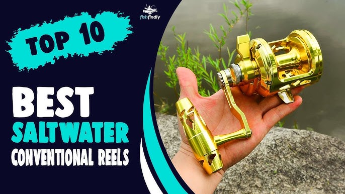 The BEST 3 Saltwater Conventional Reels $300 and Under 