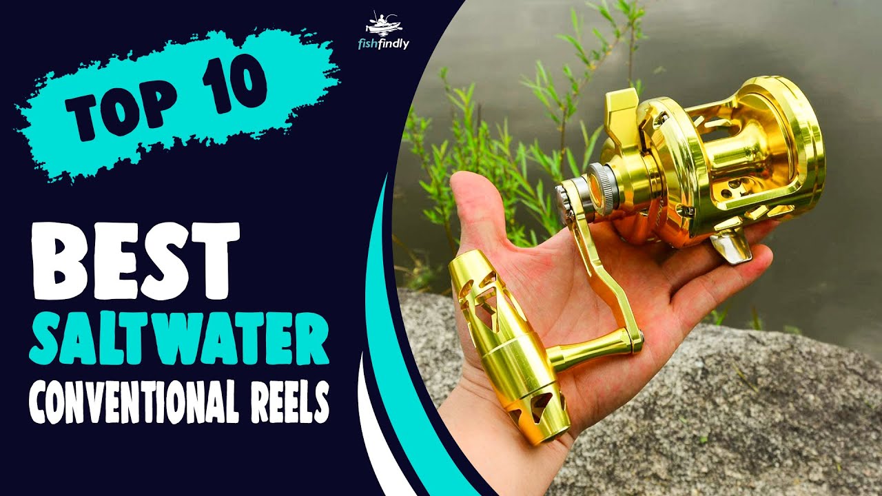 Best Saltwater Conventional Reels in 2021 – Explore the World of