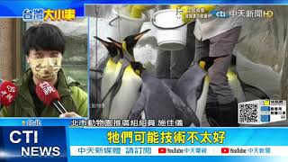 【每日必看】北市動物園防疫鬆綁! 10/30起全區開放飲食@中天新聞CtiNews 20211030