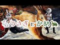 【童謡ダンス】うさぎとかめ【踊って!クリ坊さん】