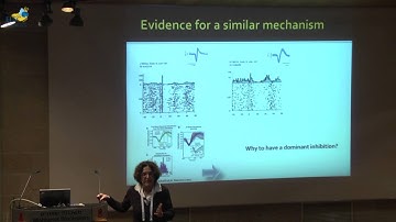 Neuroscience meets Neurotechnology | Session 3: Motor System