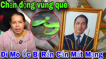 Chấn động vùng quê thanh niên đi mò ốc bị rắn lục đuôi đỏ cắn mất đột ngột 