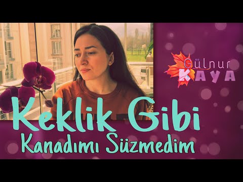 Keklik Gibi Kanadımı Süzmedim • Gülnur Kaya