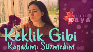 Keklik Gibi Kanadımı Süzmedim • Gülnur Kaya Resimi