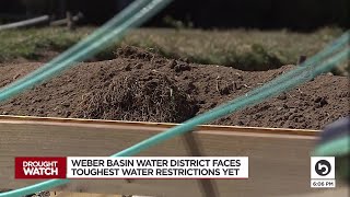 Northern Utah homeowner tears out lawn after tough water restrictions put in place