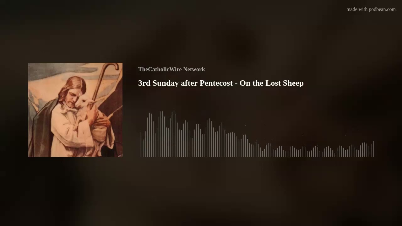 3rd Sunday after Pentecost - On the Lost Sheep