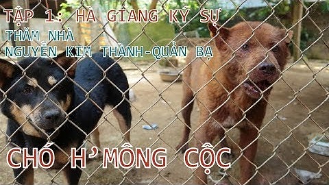 Tập 1: Hà Giang du ký - Hành trình cùng CLB nuôi Chó H