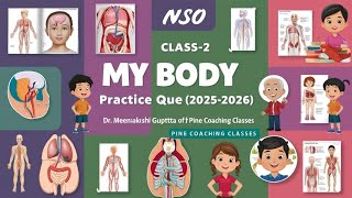 ✅NSO CLASS-2 2025 🏅HUMAN BODY PRACTICE QUESTIONS💯PRACTICE QUESTIONS⭕CHAPTER-3📚SCIENCE OLYMPIAD