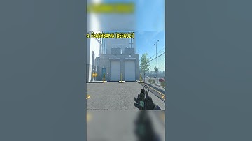 CS2 Flashbang  Inspect Animation