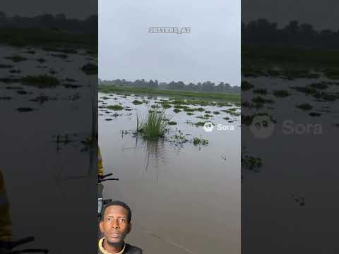 Who Do You Blame Funny Usa 