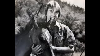 The Winged Colt ABC Weekend Special Sept. 10th, 1977