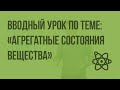 Вводный урок по теме: «Агрегатные состояния вещества». Видеоурок по физике 8 класс