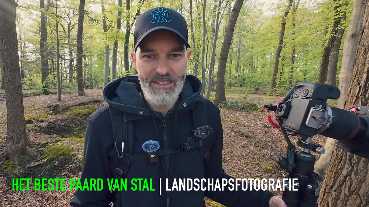 Het beste paard van stal | Landschapsfotografie | #135 - YouTube