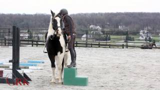 Standing Still at the Mounting Block