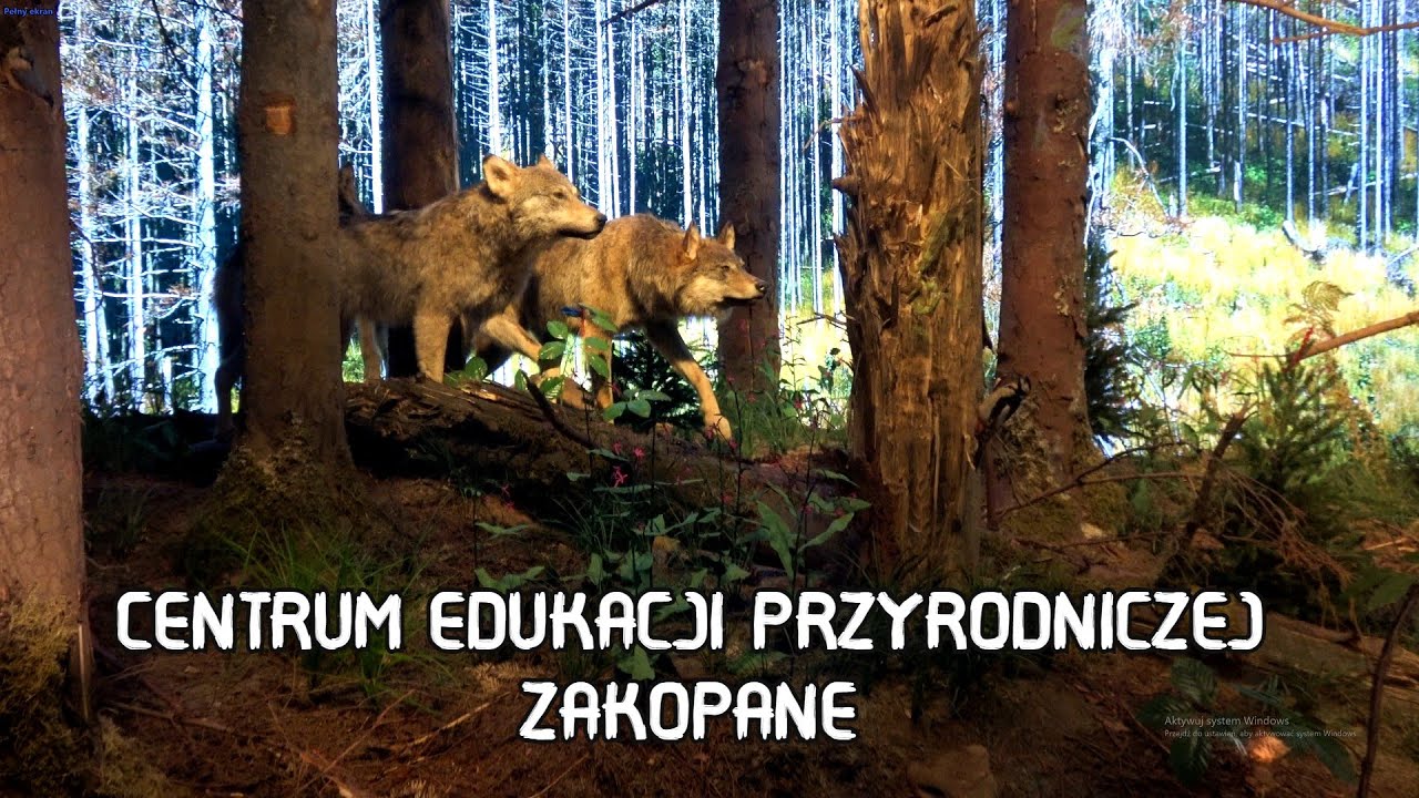 Sprawdzian Z Edukacj Przyrodniczej Klasy 2