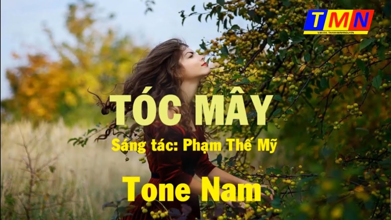 Karaoke Bông Cỏ Mây Tone Nam Nhạc Sống  Trọng Hiếu  YouTube