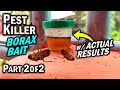 Is borax effective vs ants roaches  termites as a pest killer part 2 of 2