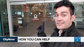Birds hitting windows causing concern Net Worth