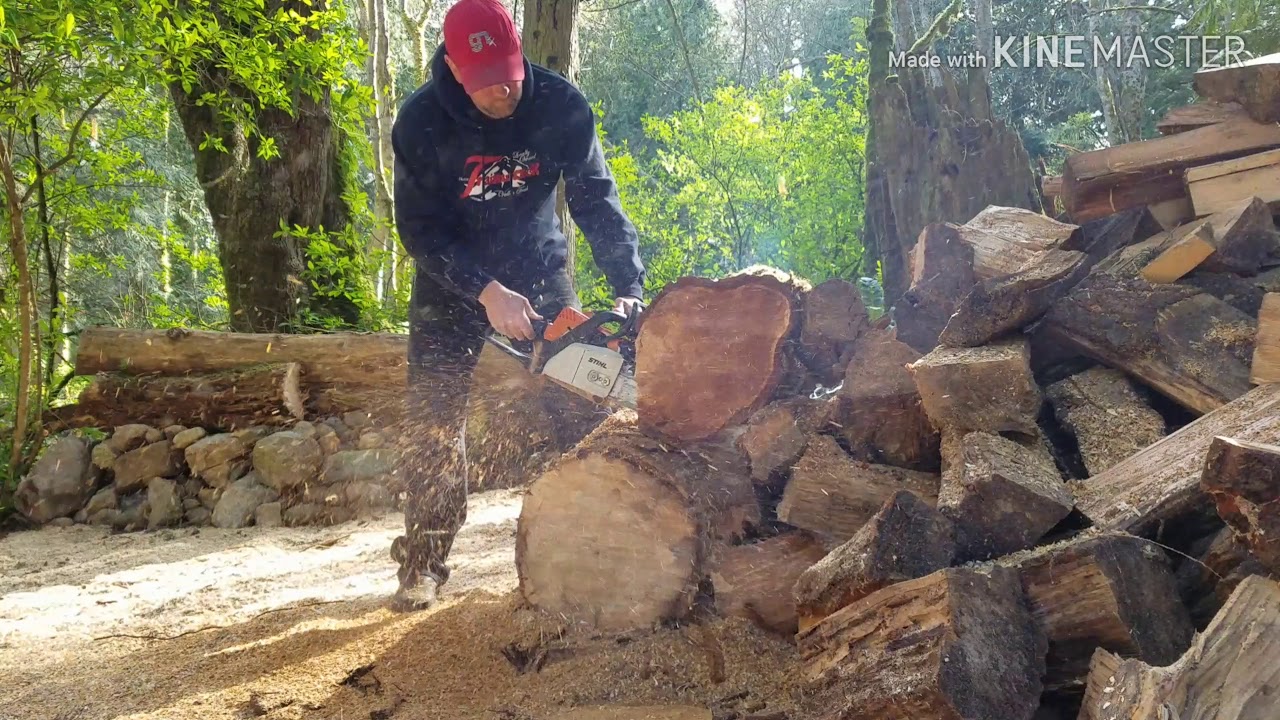 *Revisited* Ported Stihl MS170 with muffler mod, timing advance