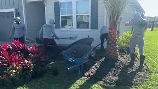 𝗟𝗼𝗰𝗮𝗹 𝗟𝗮𝘄𝗻 𝗖𝗮𝗿𝗲 𝗖𝗼𝗺𝗽𝗮𝗻𝗶𝗲𝘀 𝗡𝗲𝗮𝗿 𝗠𝗲 | Quick Free Quotes (904) 708-8417