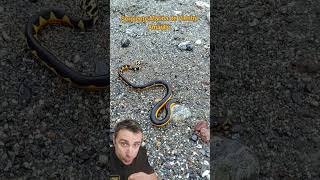 Ha vuelto a nacer y no lo sabe.#supervivencia #curiosidad...