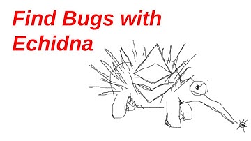 Finding Bugs with Echidna