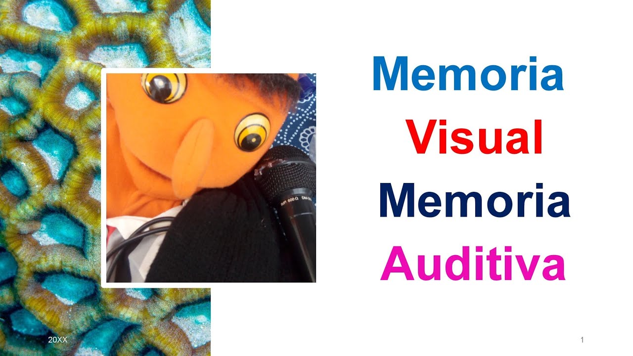 Memoria Visual y Auditiva. Actividades para Niños - YouTube