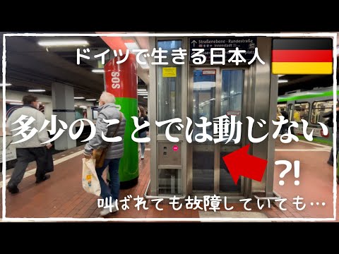 【ドイツパン紹介と動じない精神】叫び声をよく聞くドイツ暮らし｜酸っぱいドイツパン４種類とプレッツェル｜カルテスエッセン？夜に冷たい食事？！｜CBDオイルで老化防止｜オシャレとは程遠い実際の海外生活…
