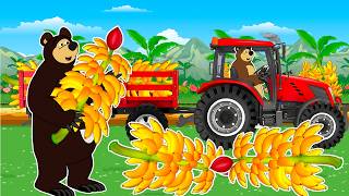 Reviving a Withered Banana Plantation with an Irrigation System - Amazing Results