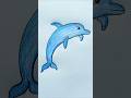 Dolphin Drawing and Coloring Easy for Kids | How to Draw and Color a Dolphin Step by Step | #shorts