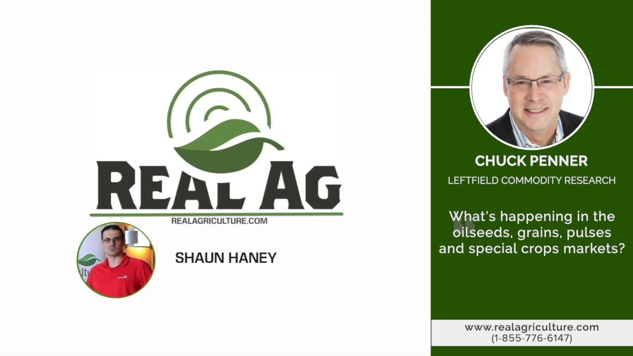 Pulse crop prices on the rise: Chuck Penner