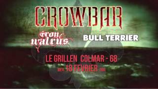 Crowbar Ironwalrus Bull Terrier