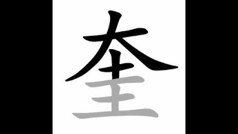 how to write chinese 奎丨Chinese stroke order中文汉字笔顺动画