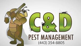 Pest Control Services Laurel MD (443) 354-8805