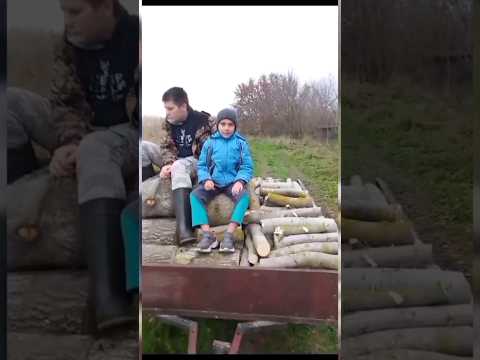 У бабушки в деревне. Заготавливаем дрова для баньки и камина #рекомендации