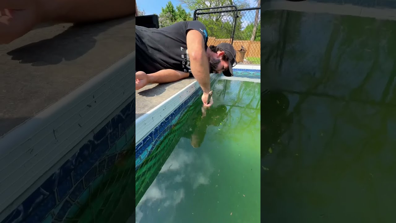 Our Pool Hasn T Been This Gross Since We Took The Deck Off Top Of It Poolcleaning Cleaning