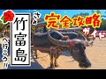 【沖縄/竹富島】石垣島から行ける離島、竹富島の完全攻略ガイド!