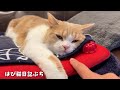 初めての湯たんぽウォーターベッドが気持ち良すぎて離れなくなったちくわ