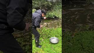 World’s Most Amazing Fish Trap 😳#shorts #tech #shortfeeed #youtubeshorts