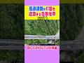【高速道路が11回も迂回する危険地帯】恵那山トンネル #ニュース #雑学 #解説 #歴史