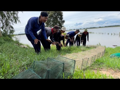 Video CÁCH BẮT RẮN MỐI HIỆU QUẢ VÀ ĐƠN GIẢN NHẤT - TT1508 - youtube