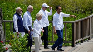 Leaders walk through mangrove on the final day of G20