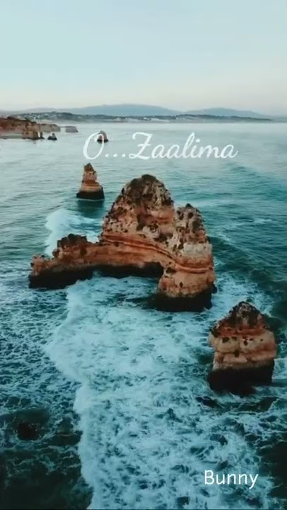 Zaalima | Zaalima song | Zaalima song whatsapp status | Zaalima lyrics whatsapp status |