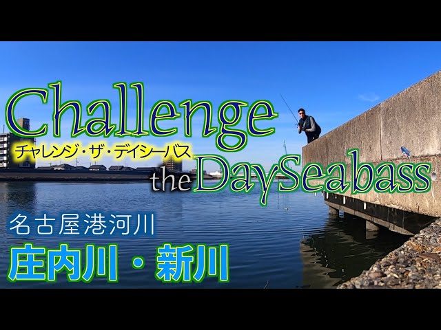 Can you catch river sea bass during the day in December? (Nagoya