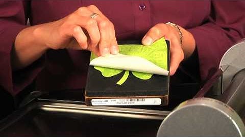 AccuQuilt Studio Four Leaf Clover Fabric Cutting Die