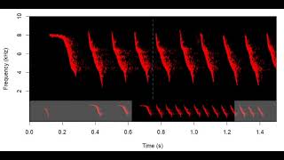 Pacific Olive Sparrow - dynamic spectrogram