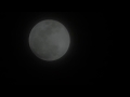 2018年01月31日 東京都内より皆既月食中継