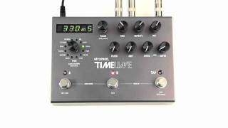 Strymon TimeLine - Swell Delay Machine audio clips