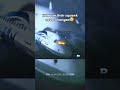 EgyptAir Flight 804ЁЯТФ The Flight Of FireЁЯШнЁЯФе EgyptAir Flight 804ЁЯТФ The Flight Of FireЁЯШнЁЯФе