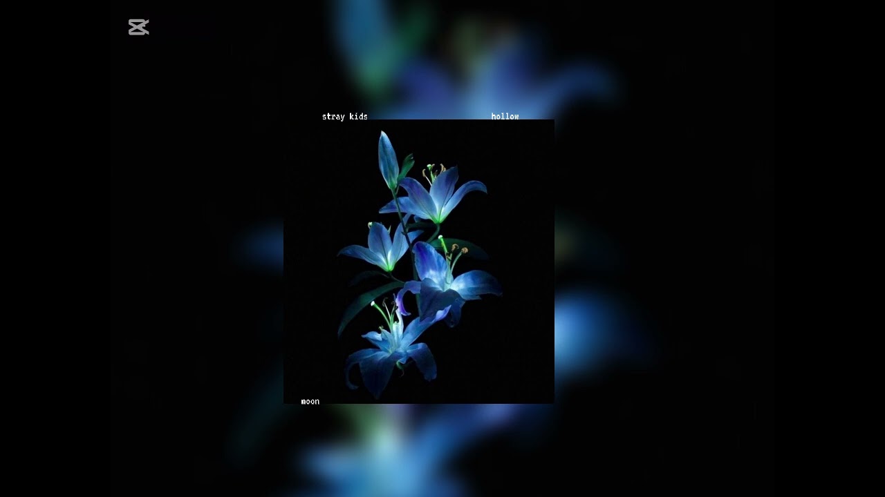 stray kids - hollow (sped up)